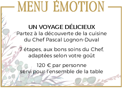 encart-site-menu-emotion-fr